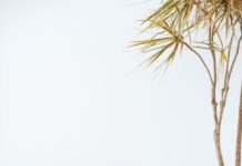¿No conoces el Home Staging?